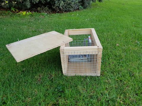 DOC 250 SS Kill Trap Single (set box with Doc 250 trap)