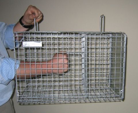 Cat Crush Cage NC (1 door)