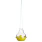 NoPests&reg; Wasp Dome Trap - Lure Not Included