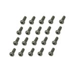 Ttr Bt P.machine Screw(20)