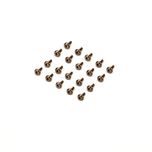 Torx Screw M3x8 Raptor 90 G4