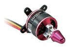 Brushless Motor 36/11-40a