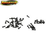 5ive T 3mm Bh And Cap Screw Asst.