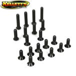 5ive T 6mm Bh And Fh Screws Asst.