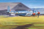 Trumpeter 1/48 De Havilland Hornet