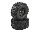Traxxas Tyres & Wheels X-maxx