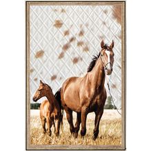 Shadow Framed Painting 60x90 Soul CHESTNUT HORSE