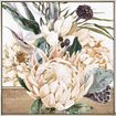 Shadow Framed 100x100 White Protea IVORY