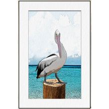 Shadow Framed Painting 60x90 Pelicans 2 0136