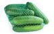 Polynet Bags