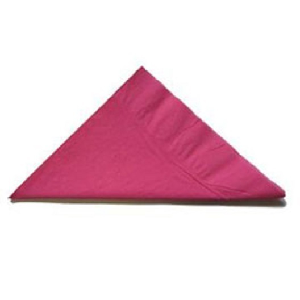 NAPKIN DINNER 2PLY MAGENTA ALP 100/PAK 10PAK/CTN