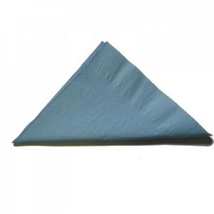 NAPKIN DINNER 2PLY LIGHT BLUE ALP 100/PAK 10PAK/CTN