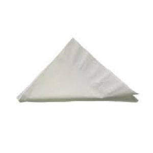 NAPKIN LUNCH 2PLY WHITE ALP 100/PK 20 PKS/CTN