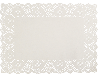 PAPER LACE DOYLEY 10x14in 250x350 (REC) 250/PK 4PAK/CTN