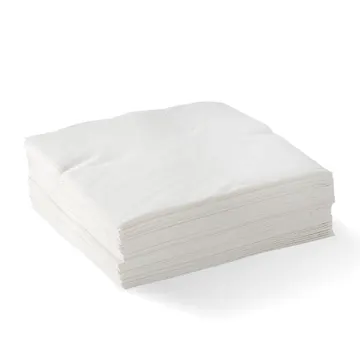 NAPKIN LUNCH 2PLY WHITE 100/PK 20PKS/CTN