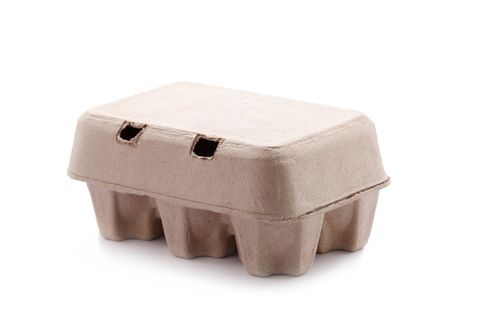 EGG CARTONS 1/2DOZEN 180/PK