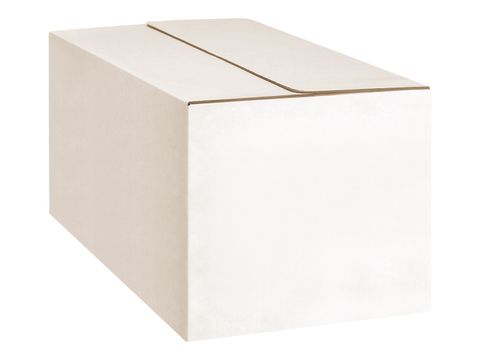 CARTON A3  WHITE (SHALLOW) 430x310x165mm  1/BOX
