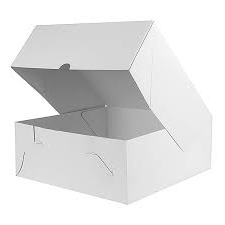 WHITE CAKE BOX8x8x5 100/PK