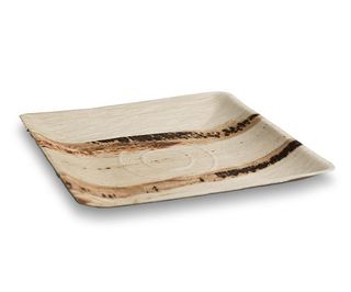 PALM PLATES 25cm LARGE SQUARE 25PK   4PKS/CTN
