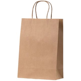 JUNIOR KRAFT BAG HANDLED ~ 300x230x90mm  50PK   5PKS/CTN