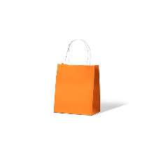 CITRUS ORANGE TODDLER BAG 200x170x100 50PK  5PKS/CTN*DNR
