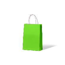 LOUD LIME JUNIOR PAPER HANDLE 290x200+100 250CTN *ORDER IN*