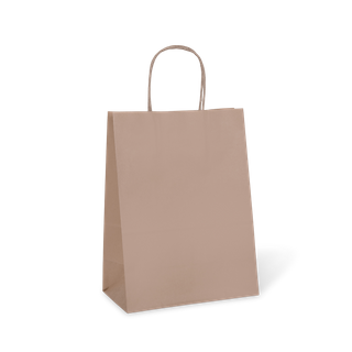 No10 PETITE KRAFT BAG HANDLED 275x205x110mm  50PK  5PKS/CTN
