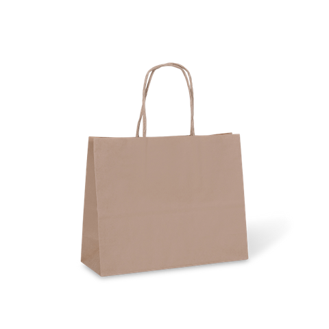 No11 PETITE KRAFT BAG HANDLED 180x220x80mm  50PK   5PKS/CTN