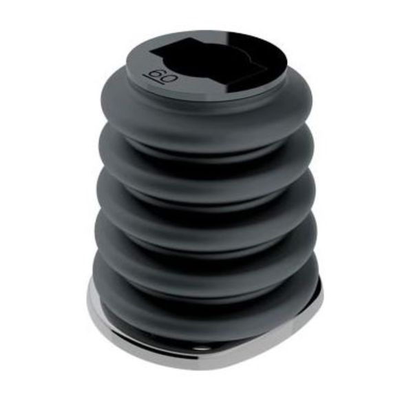 SZ 2/3  GENOA UPSTAND