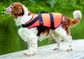 BALTIC PET AID XS 0-3 KG ORANGE