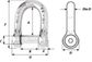 D-ALLEN KEY PIN SHACKLE DIA.6