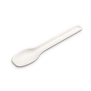 SUGARCANE TEASPOON 110MM