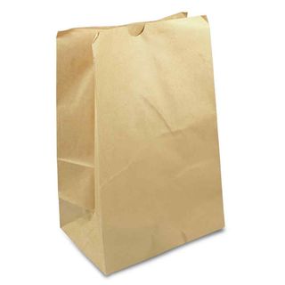 BROWN PAPER CHECKOUT BAG