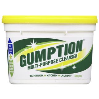 GUMPTION PASTE 500GRM