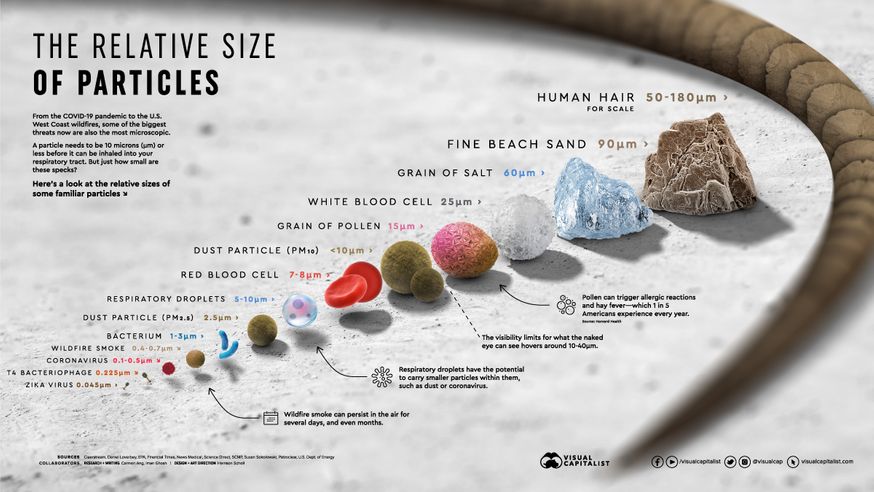 Particle Size Comparison. Image courtesy of Visual Capitalist