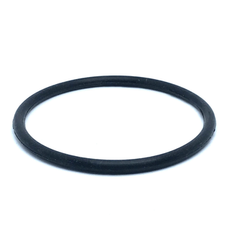 Purewash Alto5/Nimbus10 O Ring Only (for DI Head)