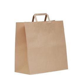 Green Choice Flat Handle Kraft Paper Bag - Small (250)