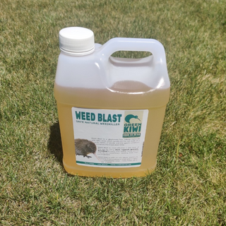 Safe Weed Blast Natural Weedkiller 2Ltr