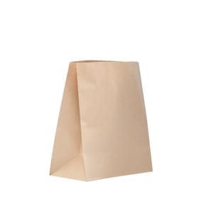 Checkout Kraft Paper Bags