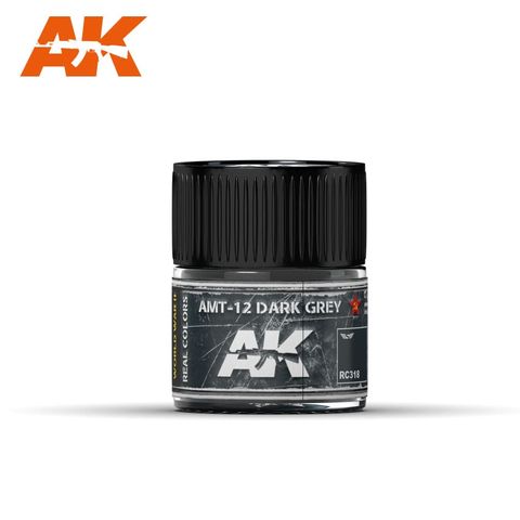 AK Interactive Real Colours Amt-12 DarkGrey 10ml