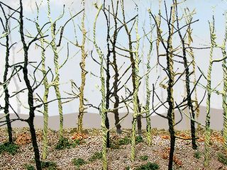 Bachmann Woods Edge Trees, Bare 14 pc pack. HO Scale