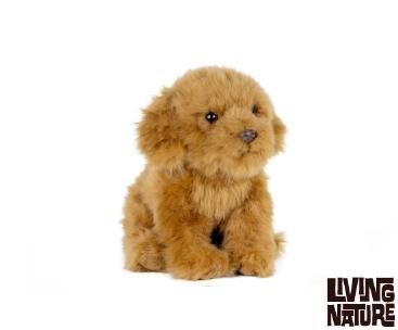 Living Nature Cavapoo 20cm