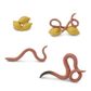 Safari Ltd Life Cycle Of A Worm