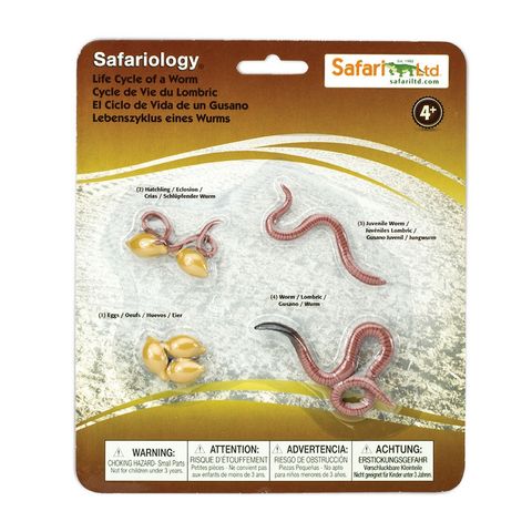 Safari Ltd Life Cycle Of A Worm Safariology