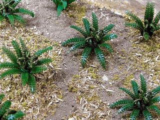 Bachmann 5/8" Wide Ferns, 12 pc pack. HOScale