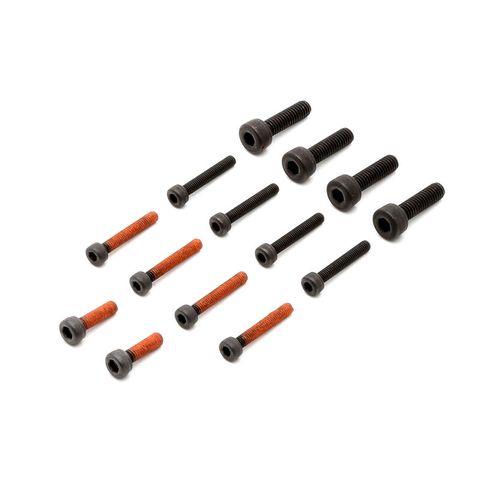 Saito Cylinder Screw Set