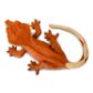 Safari Ltd Crested Gecko