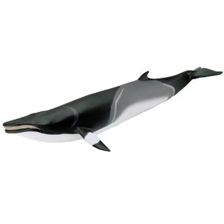 Safari Ltd Minke Whale