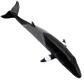 Safari Ltd Minke Whale