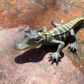 Safari Ltd Alligator Baby